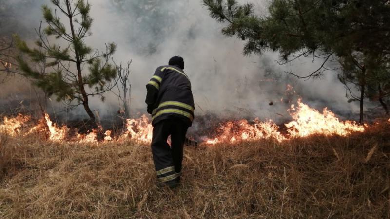 Міндовкілля повідомляє: у зоні відчуження Чорнобиля тривають роботи з ліквідації пожеж, які охопили територію більше ніж 2600 гектарів.