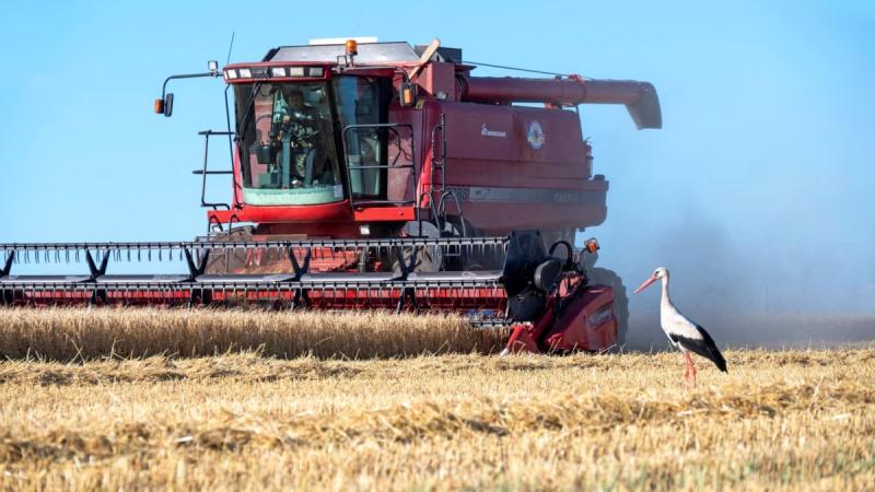 Міністерство економіки повідомило, що валовий внутрішній продукт зріс на 4,5% протягом перших трьох кварталів 2024 року.